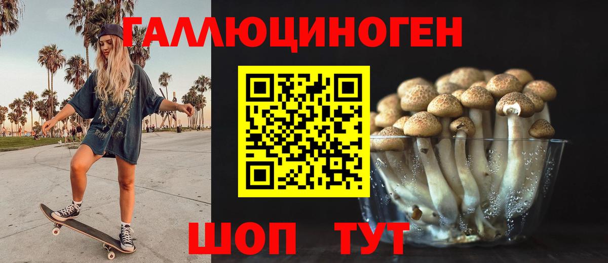 Кузнецк  Псилоцибиновые грибы мицелий  Вход с VPN 