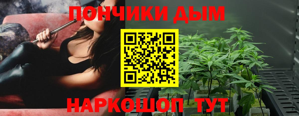 Бошки Шишки Amnesia Кузнецк
